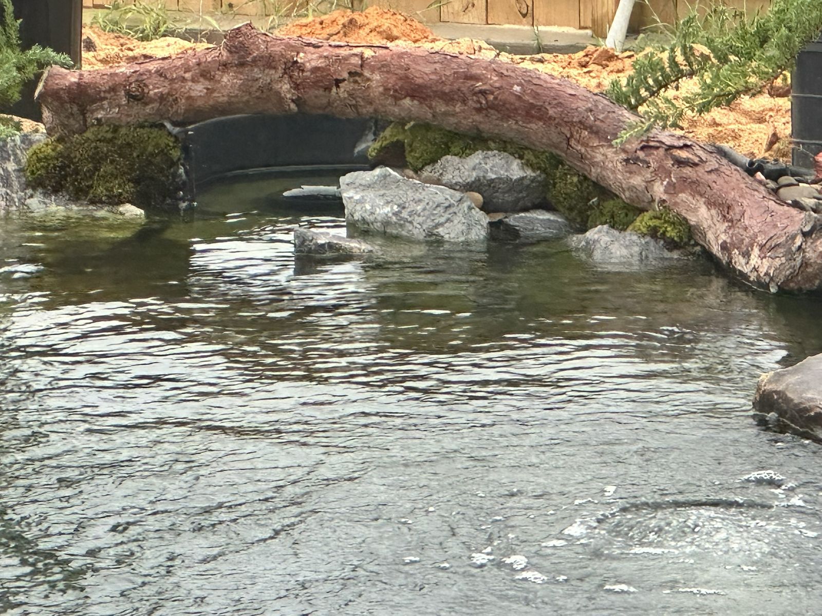 Pond Builder in Aberdeen, North Carolina