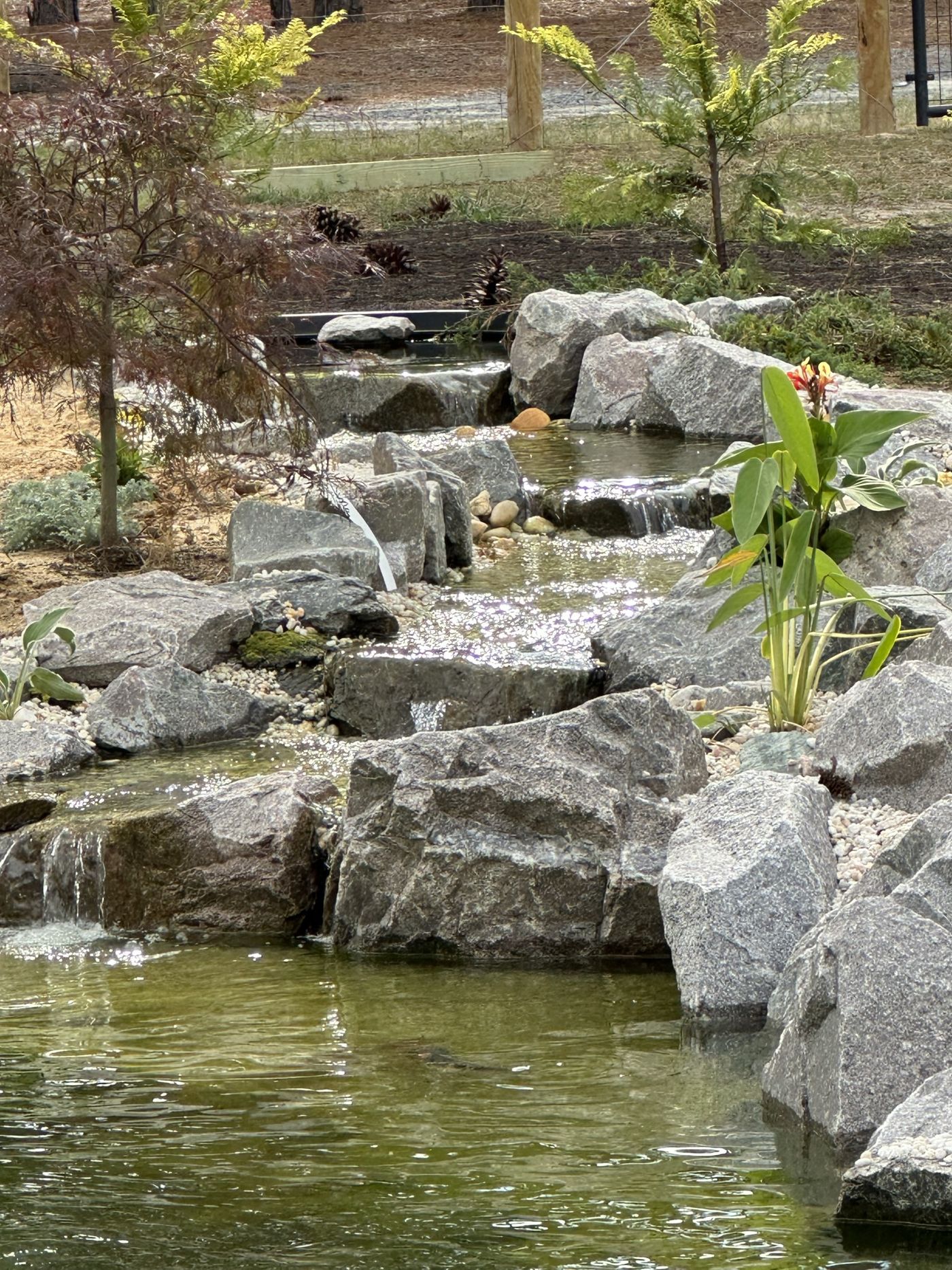 Larger Essential pond with waterfall