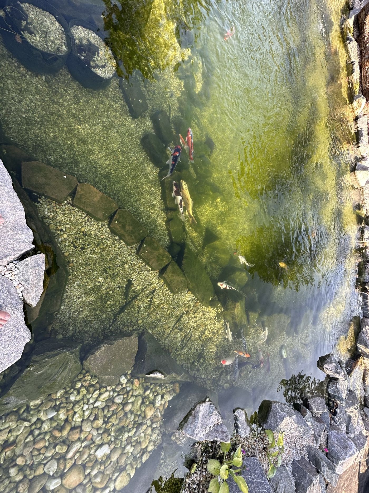 Pond and waterfall built near Whispering Pines, NC