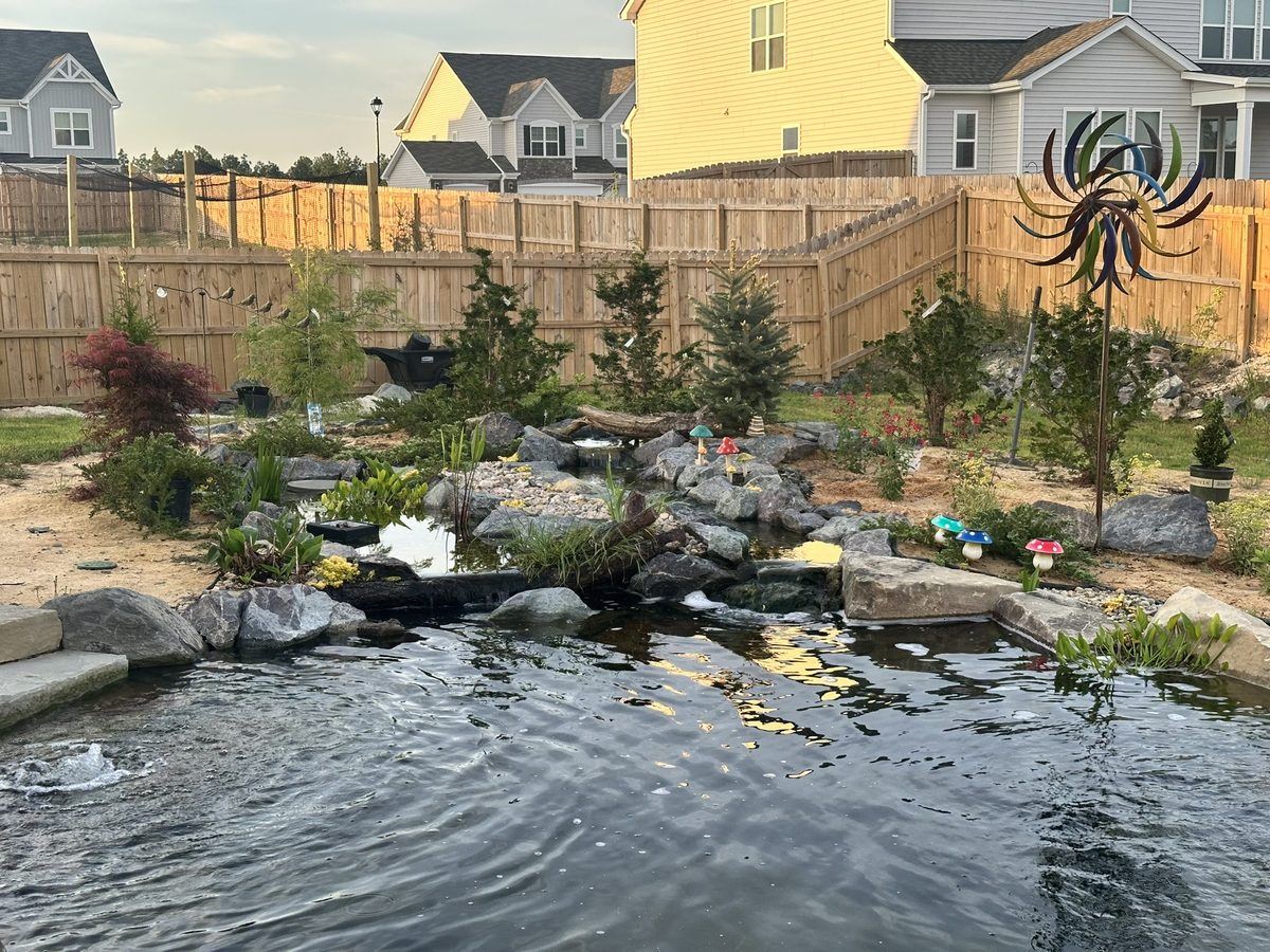 How we design, build, and maintain your oasis